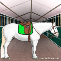 Horse Color:Amber Cream Champagne Dun Splash Appaloosa 