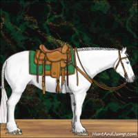 Horse Color:Gray Gold Cream Champagne Roan Dun Tobiano Appaloosa