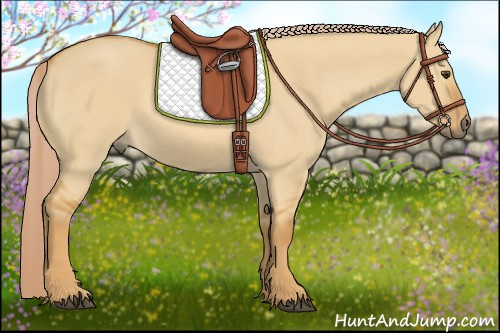 Horse Color:Palomino Dun 