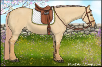 Horse Color:Palomino Dun 