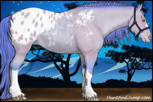 Horse Color:Watercolor Sable Champagne Appaloosa 