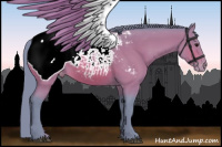 Horse Color:Watercolor Bay Sabino Appaloosa 