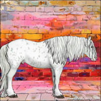 Horse Color:Watercolor White Spotted Palomino Appaloosa 