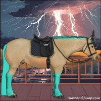 Horse Color:Watercolor Bay 