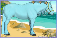 Horse Color:Watercolor Black 