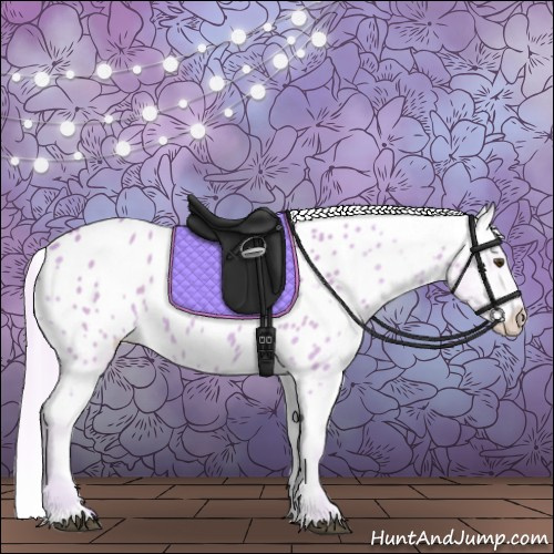 Horse Color:Watercolor Palomino Appaloosa 