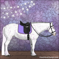 Horse Color:Watercolor Palomino Appaloosa 