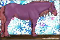 Horse Color:Watercolor Liver Chestnut 