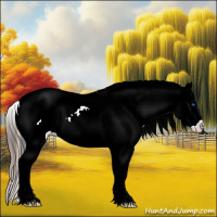 Horse Color:Grullo Splash Frame Near Leopard