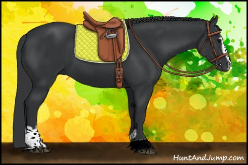 Horse Color:Black Sabino 
