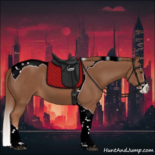 Horse Color:Chestnut Splash Tobiano