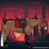 Horse Color:Chestnut Splash Tobiano