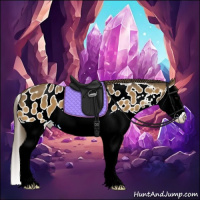 Horse Color:Buckskin Splash Appaloosa