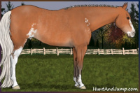 Horse Color:Silver Bay Sabino Rabicano 