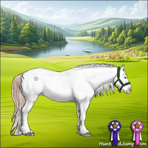 Horse Color:Gold Champagne Appaloosa  and Gold Champagne Appaloosa 