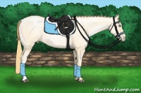 Horse Color:Smoky Grullo Pearl 