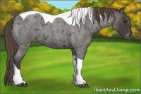 Horse Color:Smoky Blue Roan Tobiano Varnish 