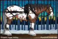 Horse Color:Bay Splash Appaloosa 
