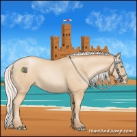 Horse Color:Silver Smoky Blue Roan Pearl 