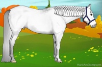 Horse Color:Gray Black Frame 