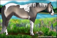 Horse Color:Blue Onyx Splash Tobiano Varnish