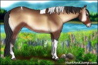Horse Color:Bay Onyx Tobiano 