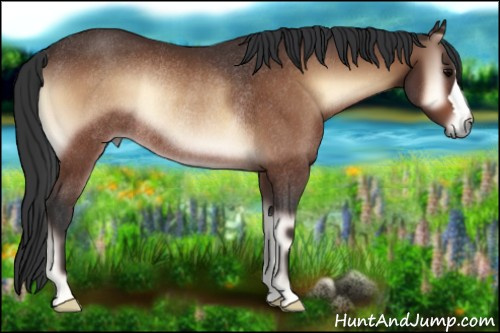 Horse Color:Brown Onyx Rabicano