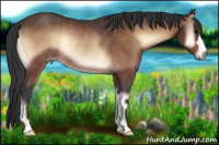 Horse Color:Brown Onyx Rabicano