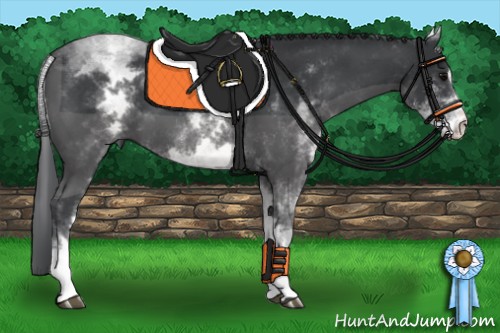 Horse Color:White Spotted Black Sabino