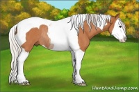 Horse Color:Silver Bay Roan Splash Tobiano Rabicano 