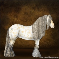Horse Color:Palomino Near Leopard  and Buckskin Near Leopard 