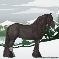 Horse Color:Smoky Black Sabino