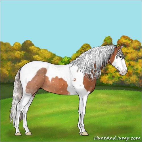 Horse Color:Silver Bay Splash Tobiano 