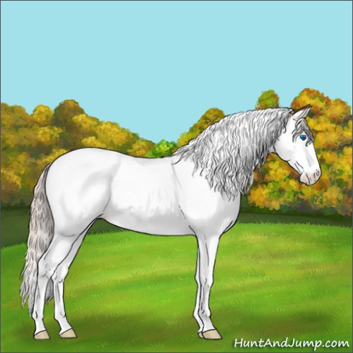 Horse Color:Silver Bay Ice Splash Tobiano 