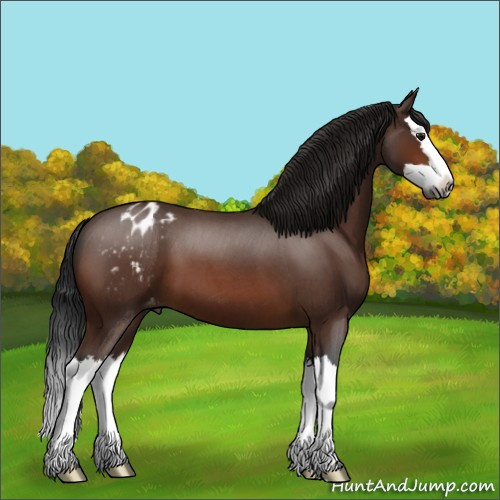 Horse Color:Gray Bay Roan Splash Varnish