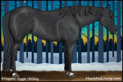 Horse Color:Black Rabicano 