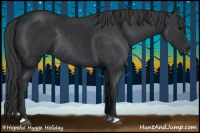 Horse Color:Black Rabicano