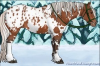 Horse Color:White Spotted Silver Bay Blanket 