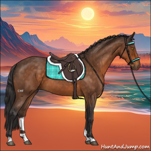 Horse Color:Buckskin Roan 