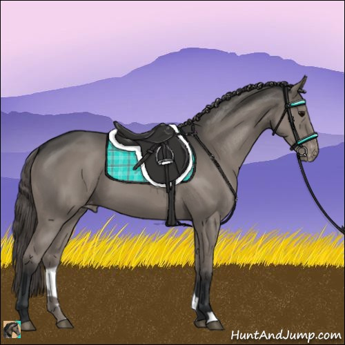 Horse Color:Grullo Varnish 