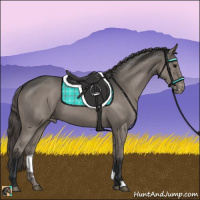 Horse Color:Grullo Varnish 