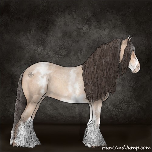 Horse Color:White Spotted Amber Champagne Roan Rabicano 