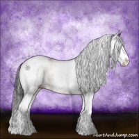 Horse Color:White Spotted Bay Splash Varnish 