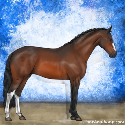 Horse Color:Brown 