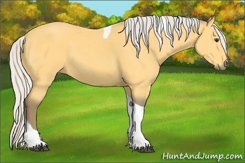 Horse Color:Silver Buckskin Tobiano 