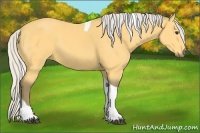 Horse Color:Silver Buckskin Tobiano