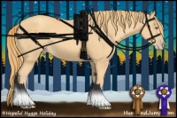 Horse Color:Gold Champagne