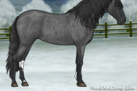 Horse Color:Blue Roan 