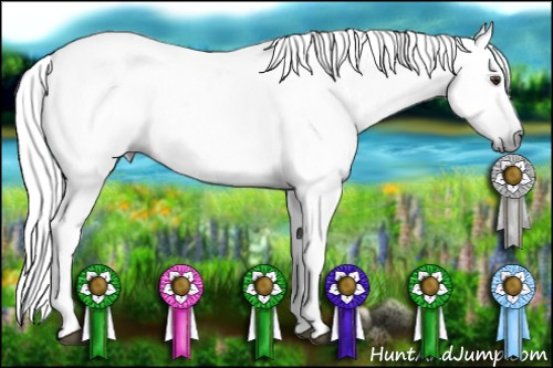 Horse Color:Gray White Spotted Liver Red Roan 