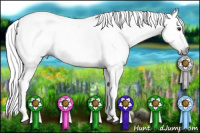 Horse Color:Gray White Spotted Liver Red Roan
